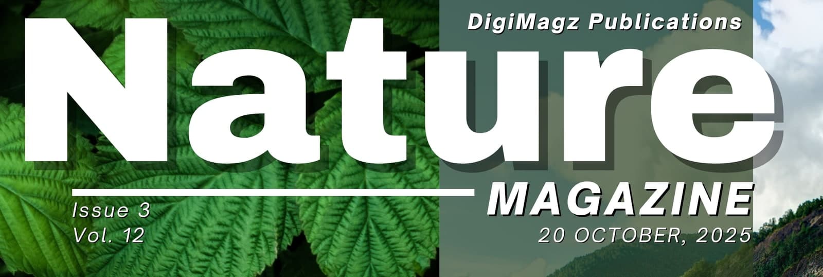 Detail of the Nature masthead and issue line